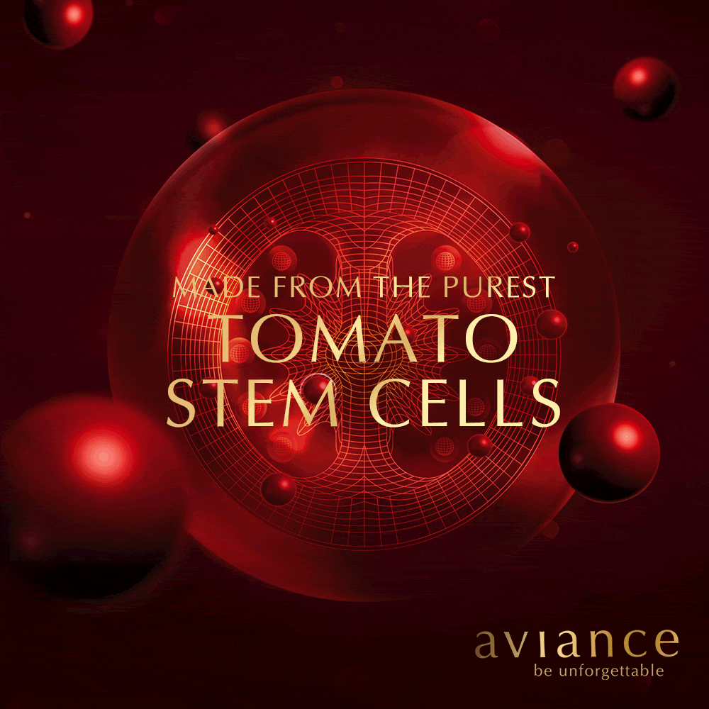 Stema-cell-teaser-1